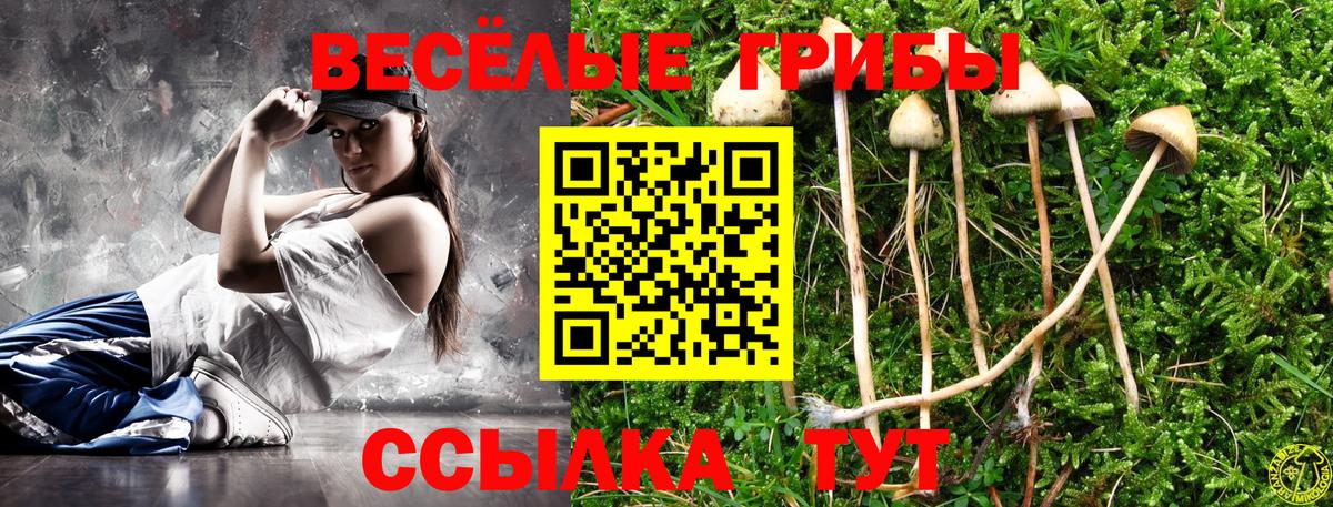 Галлюциногенные грибы Psilocybine cubensis  Псилоцибиновые грибы Psilocybe  Ковров  Вход с VPN 